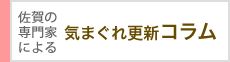 佐賀の専門家による気まぐれ更新コラム